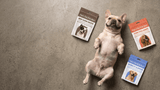 Dog lying on a concrete floor with four packages of Pure Pet Kitchen pet food products.