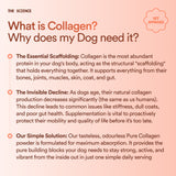 Pure Collagen
