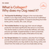 Pure Collagen: 100% Collagen Peptides