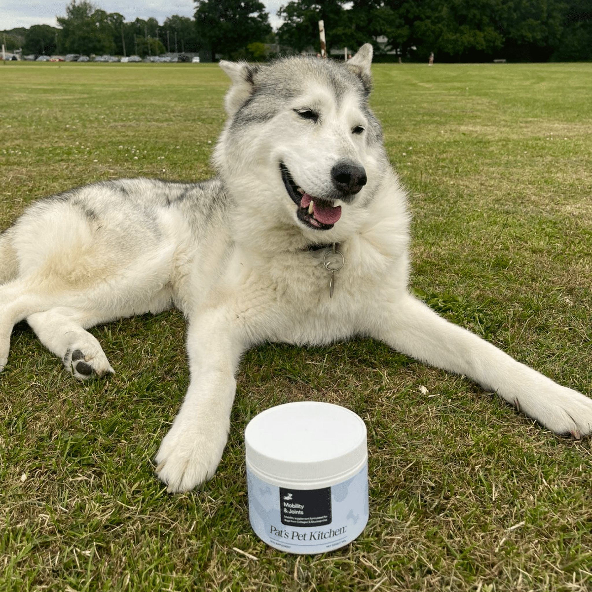 Mobility & Joints - Pat's Pet Kitchen