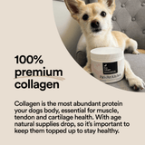 Pure Collagen - Pat's Pet Kitchen